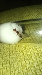 IMG_20260810_212021.jpg