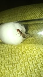 IMG_20260810_212019.jpg