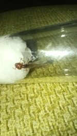 IMG_20260810_212028.jpg