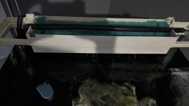 IMG_9124.jpeg
