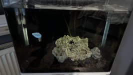 IMG_9128.jpeg