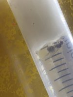 IMG_3884.jpeg IMG_3884.jpeg