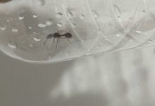 IMG_6029.jpeg