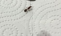 IMG_6028.jpeg