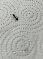 IMG_6026.jpeg