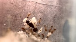 IMG_0783.jpeg