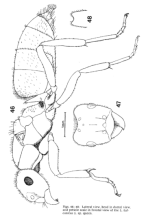 görsel_2026-08-13_005928067.png