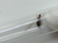 IMG-20260813-WA0004.jpg