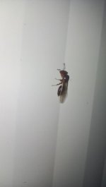 IMG_20260813_202541.jpg