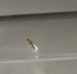 IMG_20260813_212849.jpg