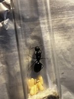 IMG_3969.jpeg