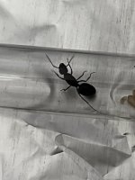 IMG_3943.jpeg