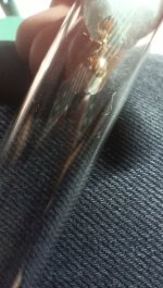 IMG_20260814_200716.jpg