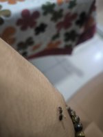1000267850.jpg