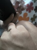 1000267856.jpg