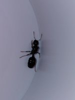 35302.jpg 35302.jpg