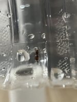 IMG_6082.jpeg