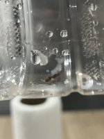 IMG_6081.jpeg