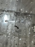 IMG_6080.jpeg
