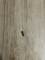IMG_6092.jpeg
