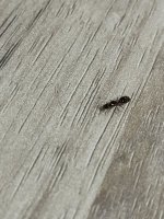 IMG_6088.jpeg
