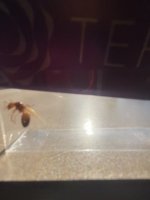 IMG_6628.jpeg