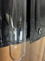 IMG_6448.jpeg