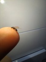20260819_083418.jpg