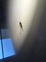 20260819_083248.jpg