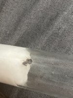 IMG_8313.jpeg