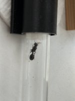 IMG_1926.jpeg