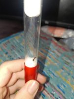 IMG-20260820-WA0018.jpg