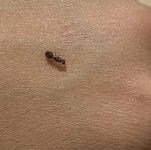 IMG_6170.jpeg