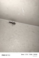 IMG_20260820_233221.jpg