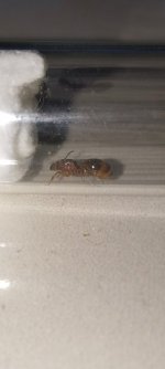 IMG_20260819_233620.jpg