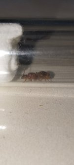 IMG_20260819_233618.jpg