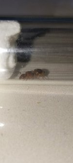 IMG_20260819_233614.jpg