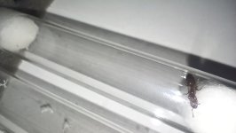 IMG_20260822_002013.jpg