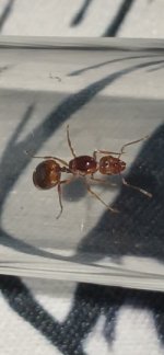 20260823_193752.jpg