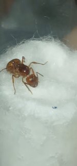 20260823_192401.jpg