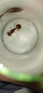20260823_191821.jpg