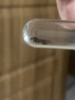 IMG_4026.jpeg