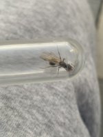 IMG_4024.jpeg