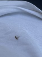 IMG_4076.jpg