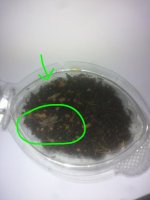 IMG_20260818_190938~2.jpg