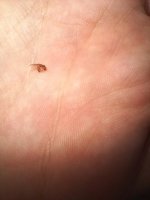 20260825_115937.jpg