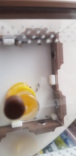 20260825_151506.jpg