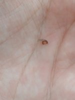 20260825_115839.jpg