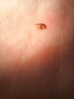 20260825_115941.jpg