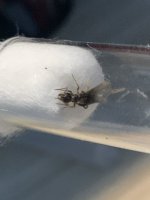 IMG_4054.jpeg IMG_4054.jpeg